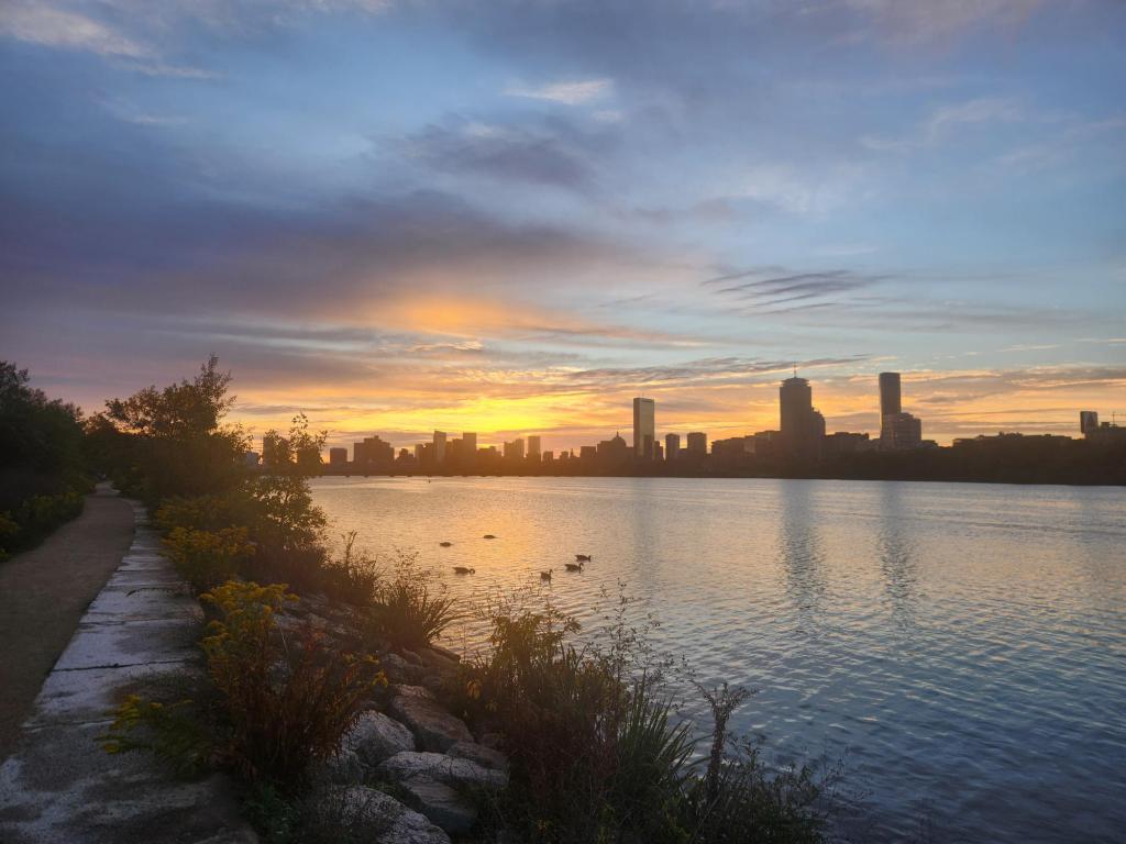 Welcome to The Zeeman&nbsp;Effect!